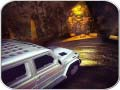 Spiel Gruseliger Auto-Fahr-Simulator Online
