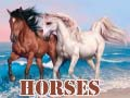 Spiel Pferde Online
