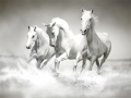 Spiel Pferde-Puzzle Online