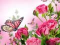 Spiel Schmetterlingspuzzle Online