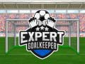 Spiel Experte/r Torwart Online