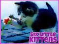Spiel Sechs kleine Kätzchen Online