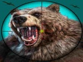 Spiel Wilder Bärenjagd Online