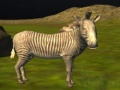 Spiel Echte Dschungeltiere Jagd Online