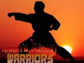 Spiel Karate Sonnenuntergang Krieger Online