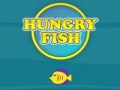 Spiel Hungriger Fisch Online
