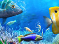 Spiel Lass uns Fischen Online
