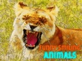 Spiel Lustige Lächelnde Tiere Online