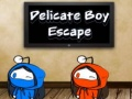 Spiel Flucht des zarten Jungen Online