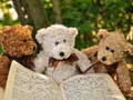 Spiel Kuschelige Drei Teddybären Puzzle Online
