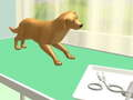 Spiel Pfotenpflege Online