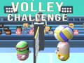 Spiel Volley-Herausforderung Online