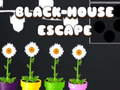 Spiel Flucht aus dem Schwarzen Haus Online