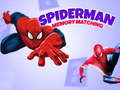 Spiel Spiderman Gedächtnis-Spiel Online