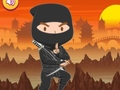 Spiel Ausgebildetes Ninja-Puzzle Online
