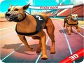 Spiel Verrücktes Hund Rennen Online