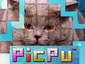 Spiel PicPu Katze Online