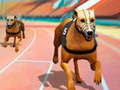 Spiel Hunde3D Rennen Online