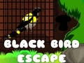 Spiel Schwarzer Vogel Flucht Online