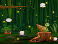 Spiel Schneckenlauf Online