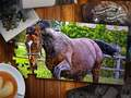 Spiel Jigsaw-Puzzle Pferde Edition Online