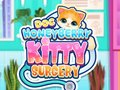 Spiel Doc HoneyBerry Kätzchen Operation Online
