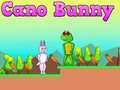 Spiel Cano Hase Online