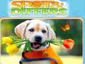 Spiel Finde und Unterschiede Online