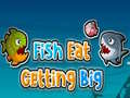 Spiel Fisch frisst, wird groß Online