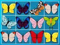 Spiel König des Mahjong Online