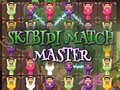 Spiel Skibidi Match Meister Online