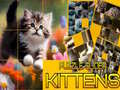 Spiel Puzzle Rutschende Kätzchen Online