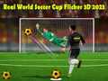 Spiel Echter Weltmeisterschaft Fußball Flicker 3D 2023 Online