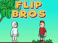 Spiel Flip Brüder Online