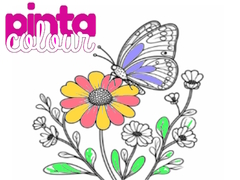 Spiel Pinta Farbe Online