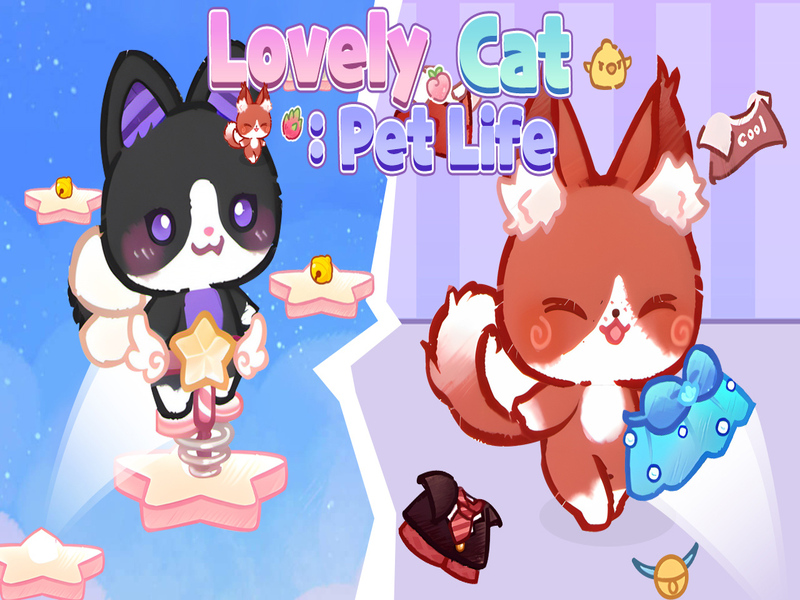 Spiel Schöne Katzen-Haustierleben Online
