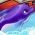 Delphin Delphin online