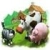 Wunderfarm  online